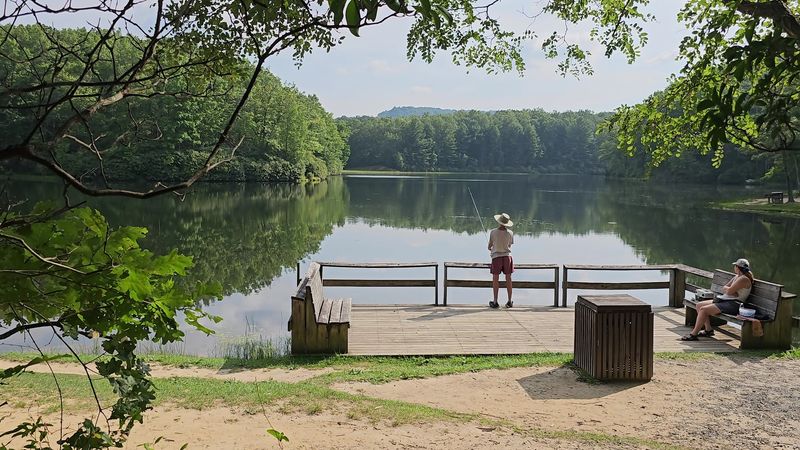 Boley Lake Boating and Fishing