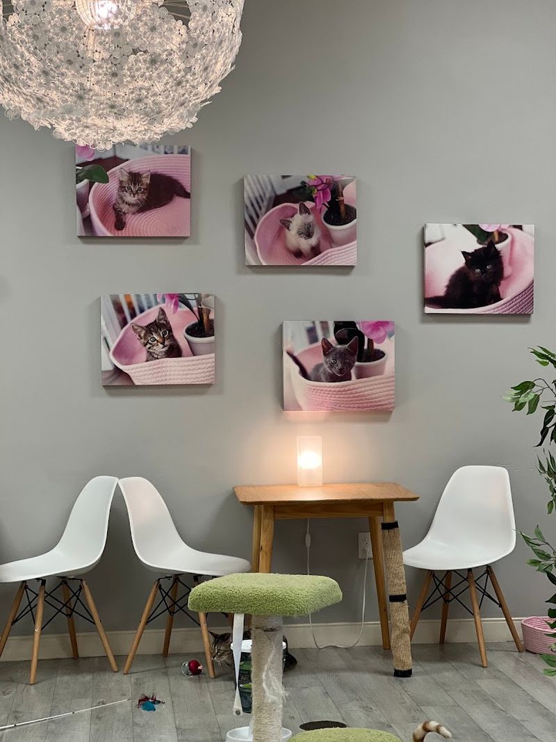 A Chic Minimalist Vibe With Velvet Furniture