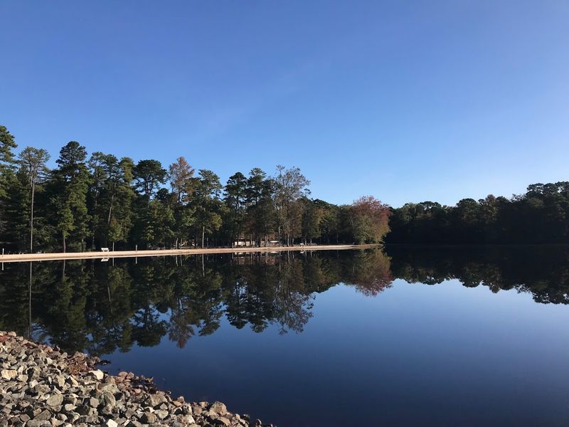 Lake Nummy: The Crown Jewel of the Forest