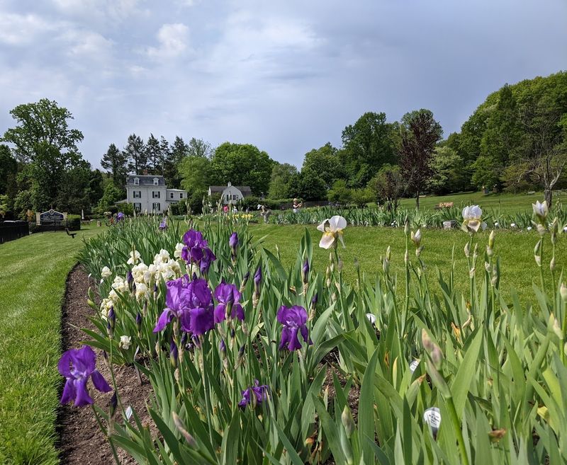 The PresBee Sanctuary Buzzing Right Beside the Blooms