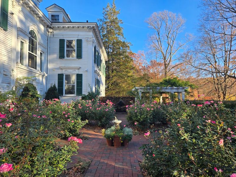 The Rose Garden That Stops You Mid-Step