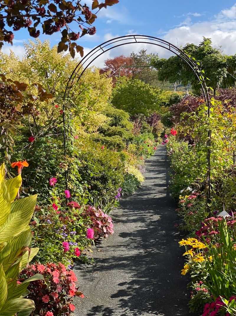 The Volunteers Who Keep It All Alive, Season After Season