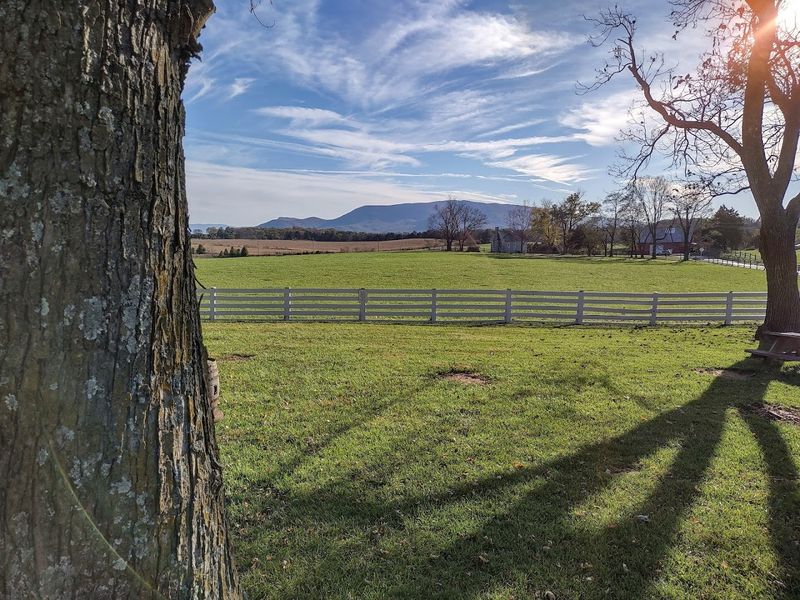 The Grounds Are Seriously Gorgeous