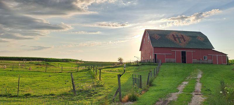 Hands-On Farm Activities for All Ages