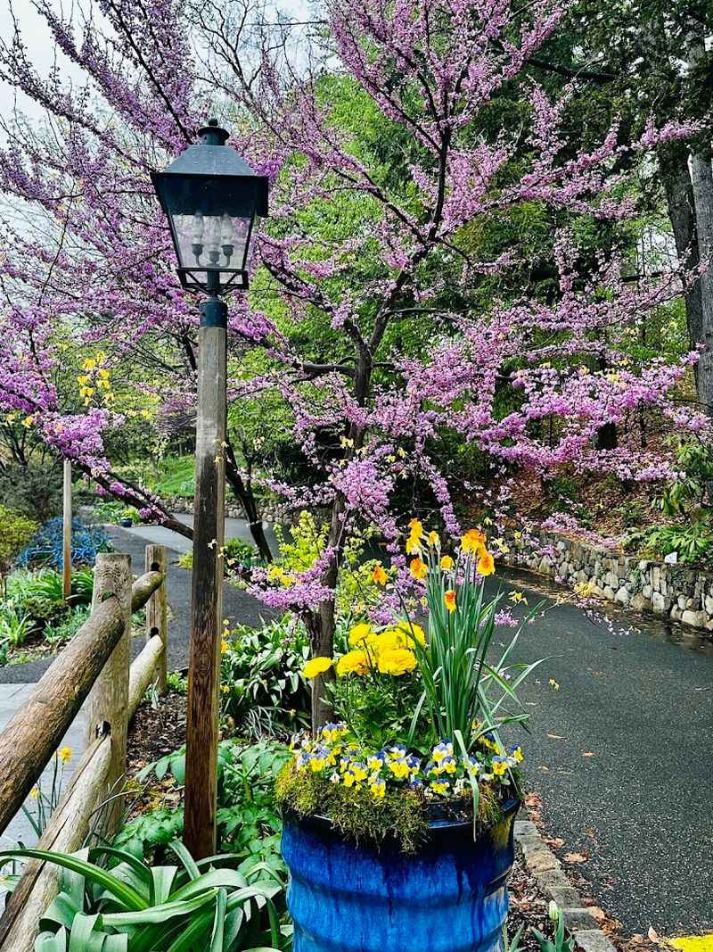 Reeves-Reed Arboretum