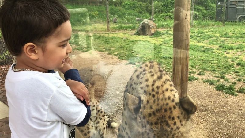 Birthday Parties and Group Events With a Wild Twist