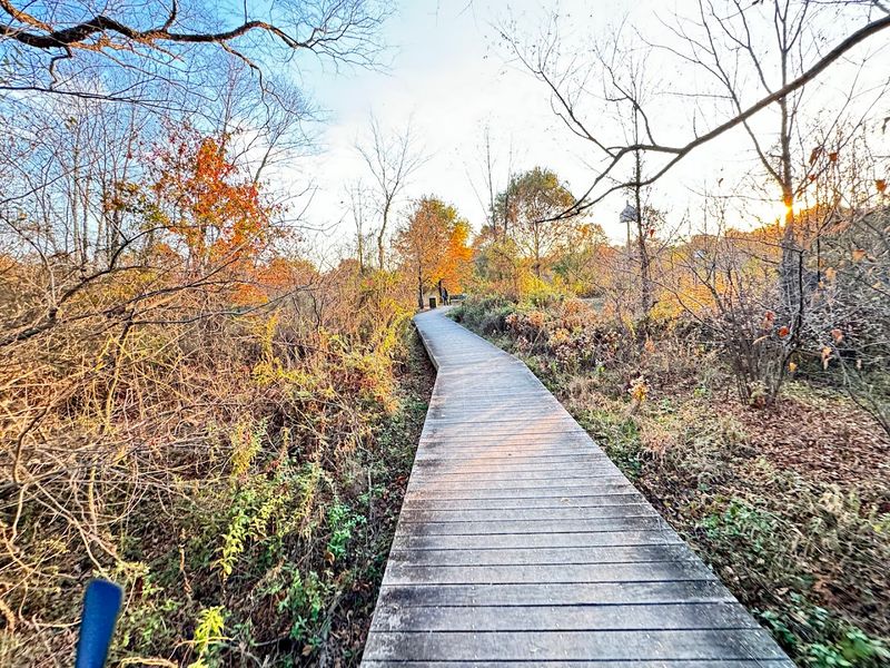 The Boardwalk Trail Experience