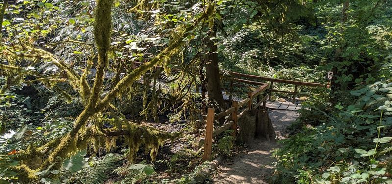 Trails That Connect and Surprise You