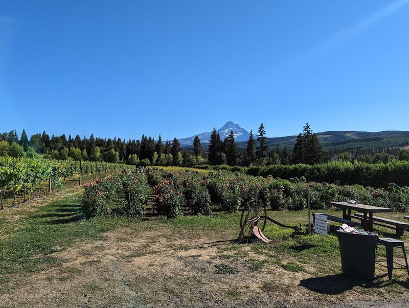 Mt. View Orchards, Hood River, Oregon