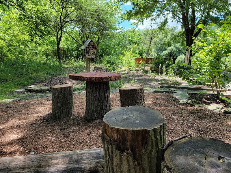 Wildlife Encounters You Cannot Plan But Will Never Forget