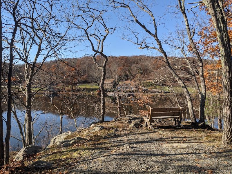 Wildlife, Turtles, and the Small Surprises Along the Path