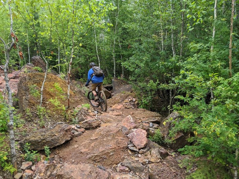 Mountain Bike at Tioga Recreation Area, Grand Rapids, Minnesota