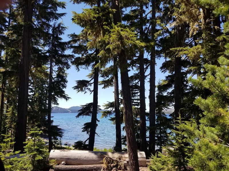 Camping Under the Stars at Three Campgrounds