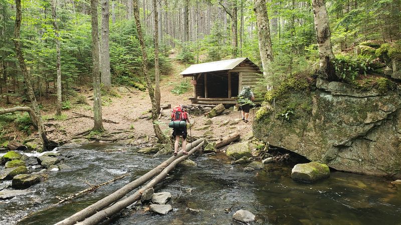 Wildlife Watching at Horserace Ponds: More Than You Expect