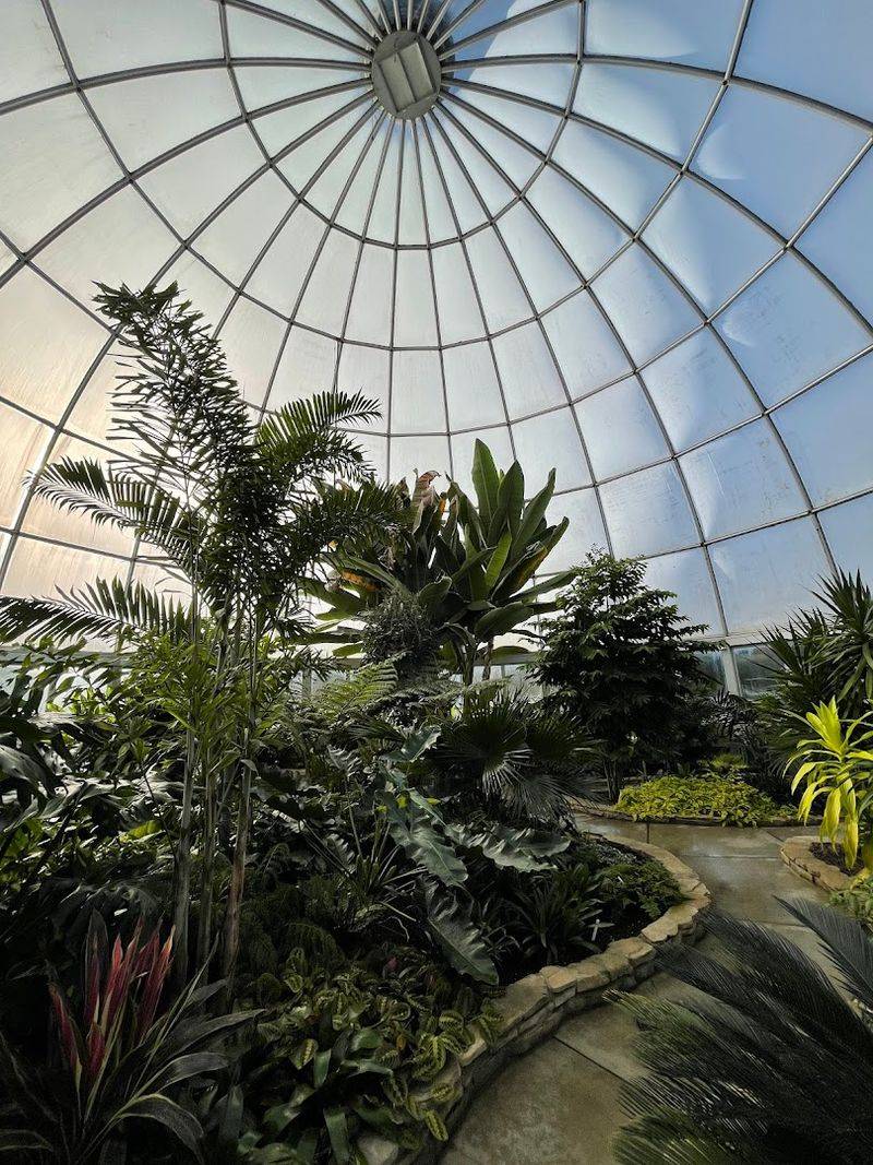 The 730 Foot Sky Walk Dangles Among Fairy Lights