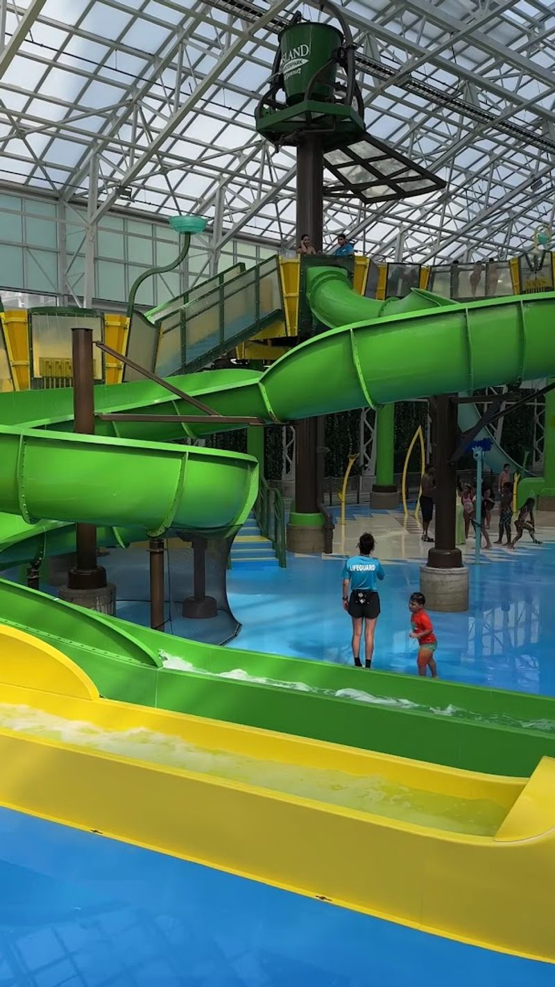 Kids Cove: The Little Ones Have Their Own Kingdom