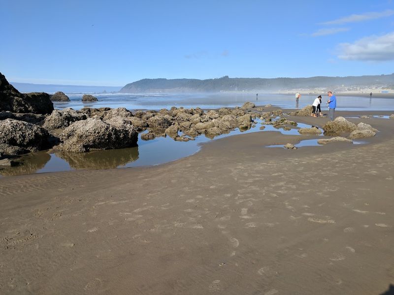 What to Bring for the Best Experience