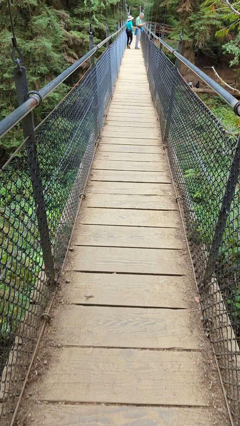 Difficulty Level and Who Can Do It