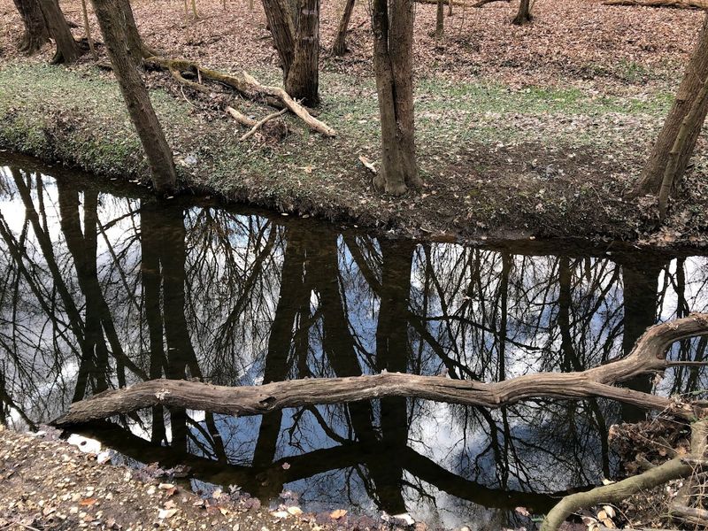 A Peaceful Pond Worth Stopping For A Peaceful Pond Worth Stopping For