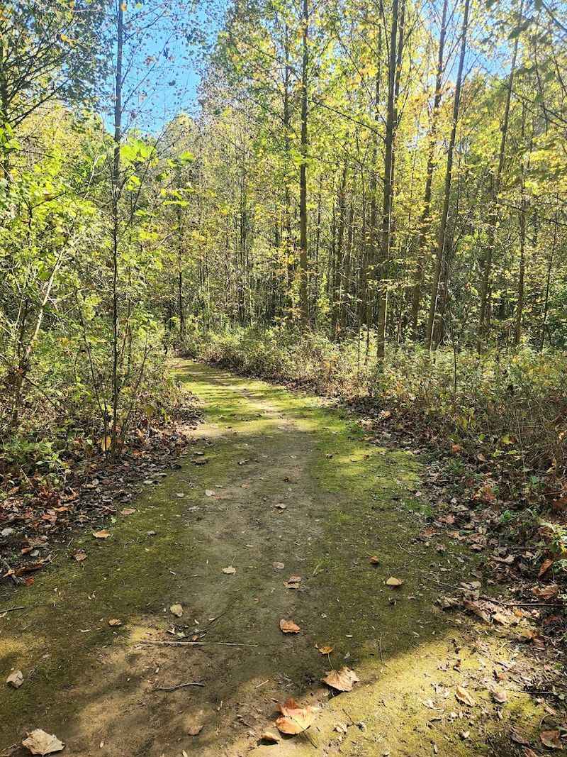Well-Maintained Trails for Every Kind of Hiker