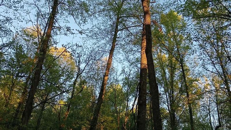 Diverse Habitats Packed Into One Accessible Location