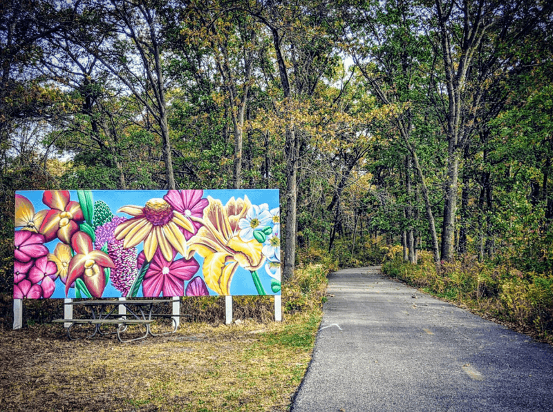 A Fully Paved and Wheelchair-Accessible Path for Everyone
