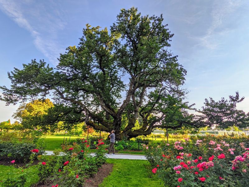 The Garden's Connection to the Willamette River