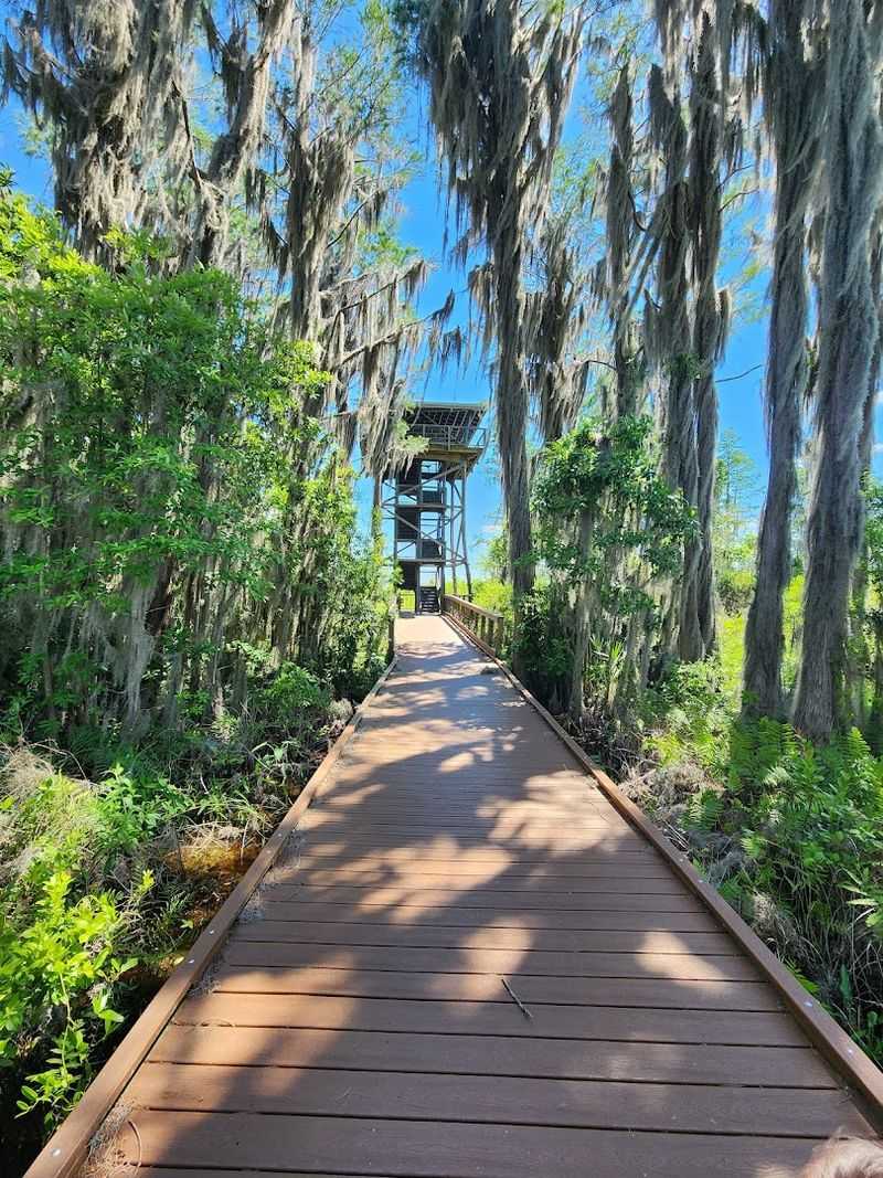 How to Visit and Why It Still Matters