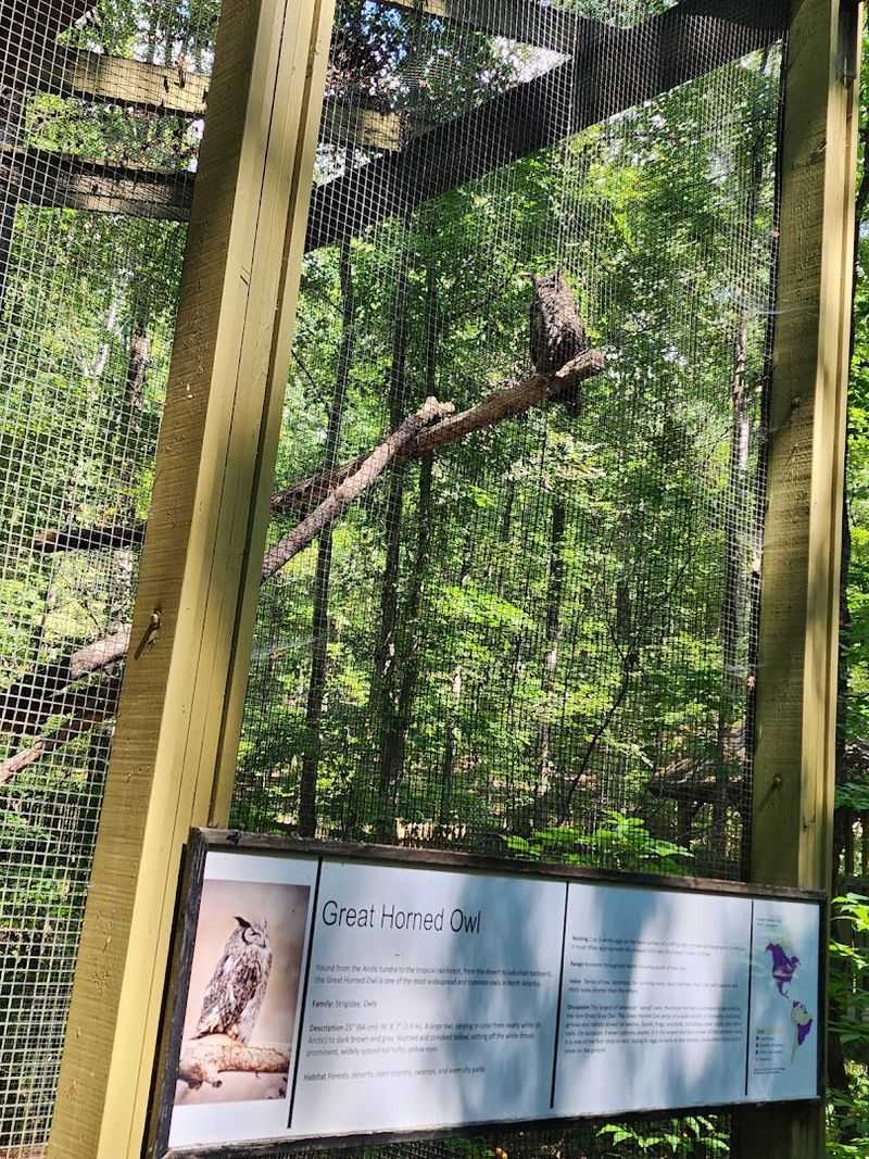Alabama Wildlife Center Experience
