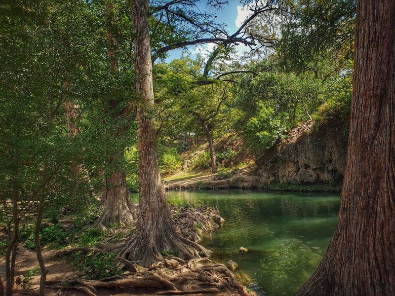 Krause Springs, Spicewood