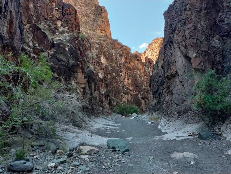 Big Bend Ranch State Park, Presidio