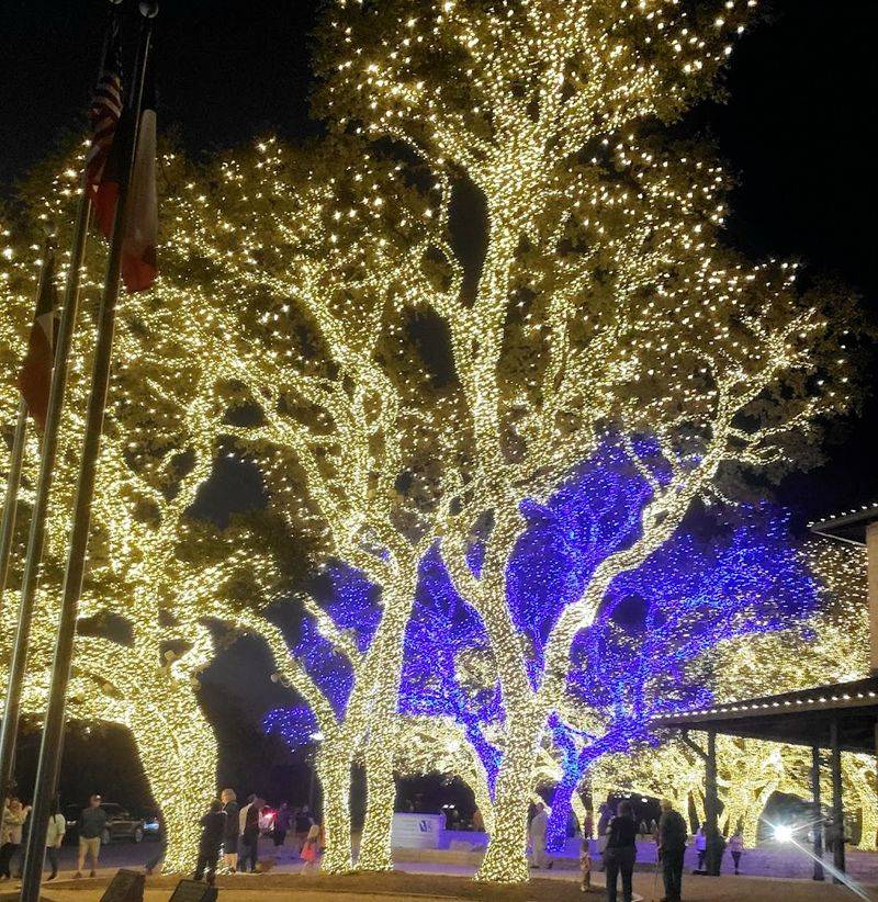 The Johnson City Lights Spectacular