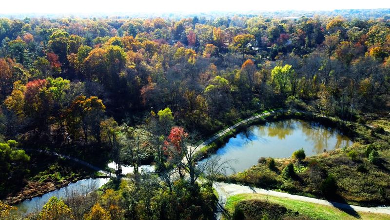 Dogs Welcome: A Leash-Required Adventure