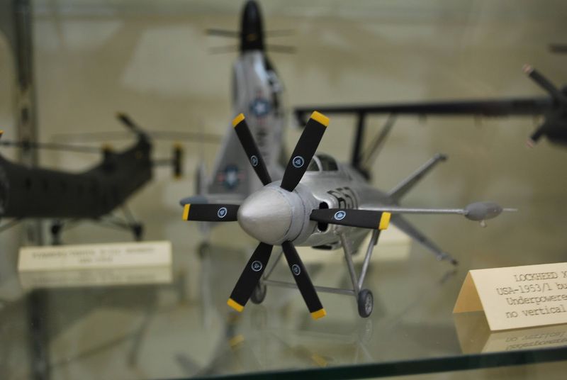 The Gift Shop Surprise