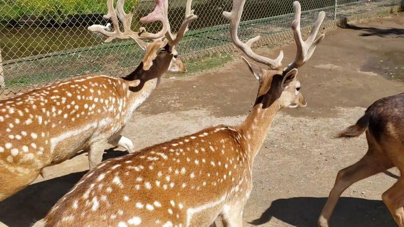 Tips for Getting the Most Out of Your Visit