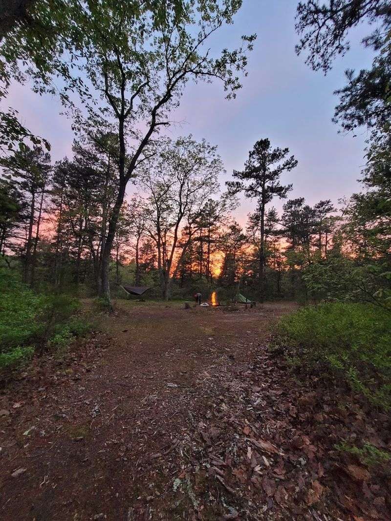 Why Lower Forge Stays With You Long After You Leave