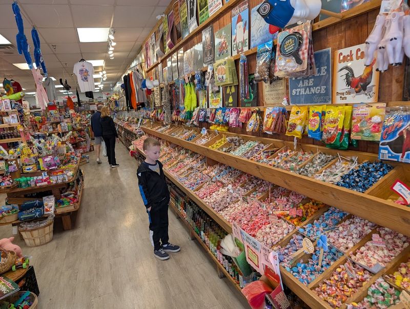 A Family-Friendly Setup That Keeps Everyone Happy