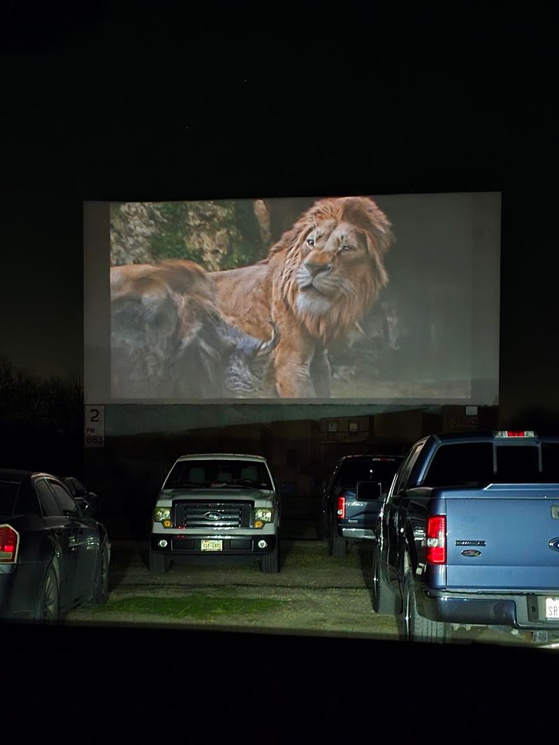 The Magic of Watching Movies Under a Texas Sky