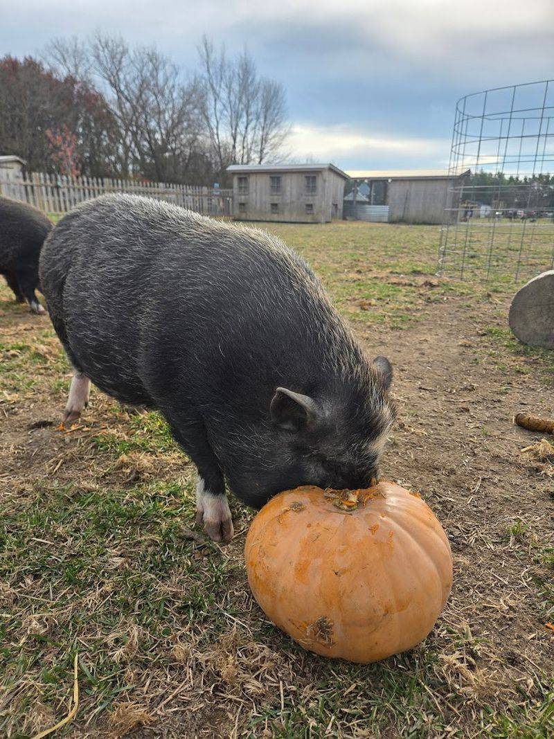 Support a Nonprofit That Runs on Heart