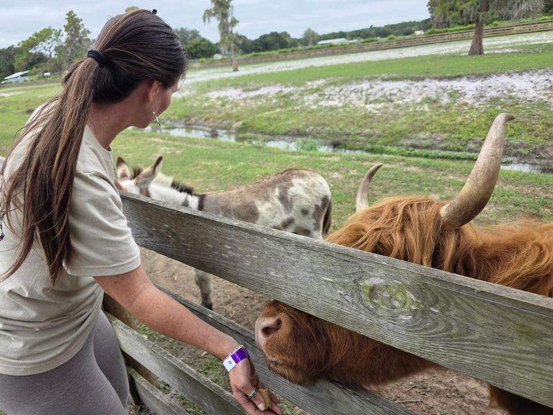 Planning Your Visit to Cow Creek Farm