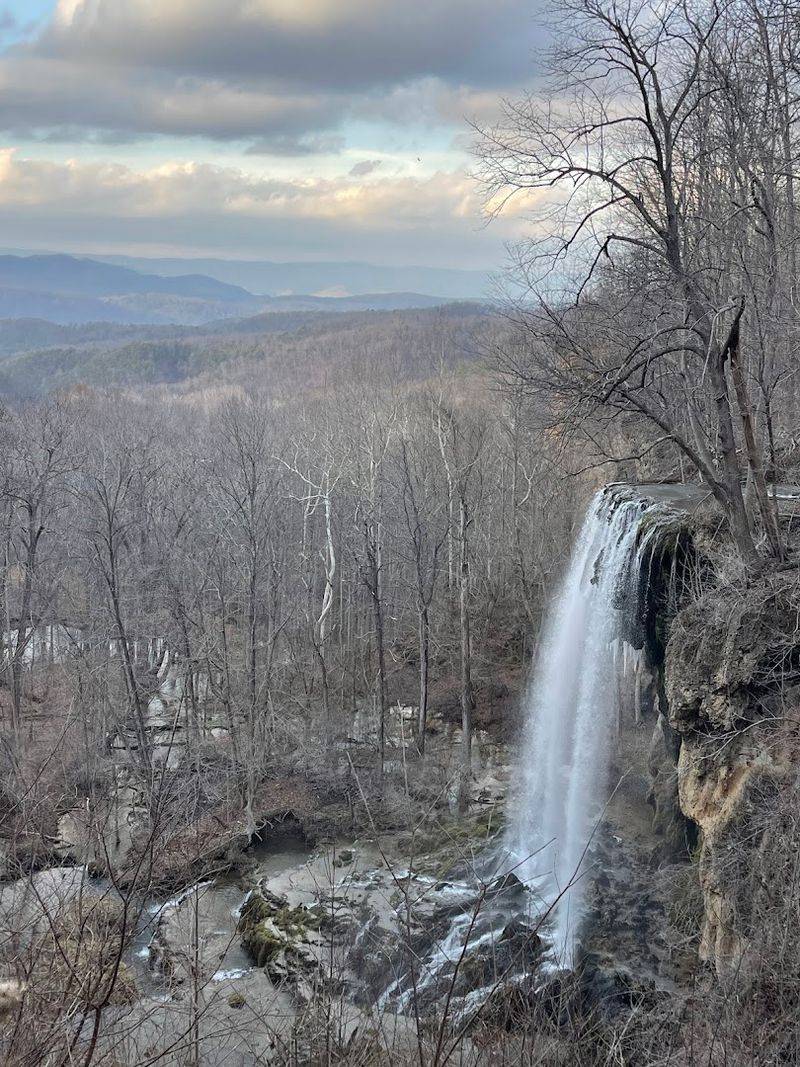 The Picnic Area That Deserves Its Own Fan Club