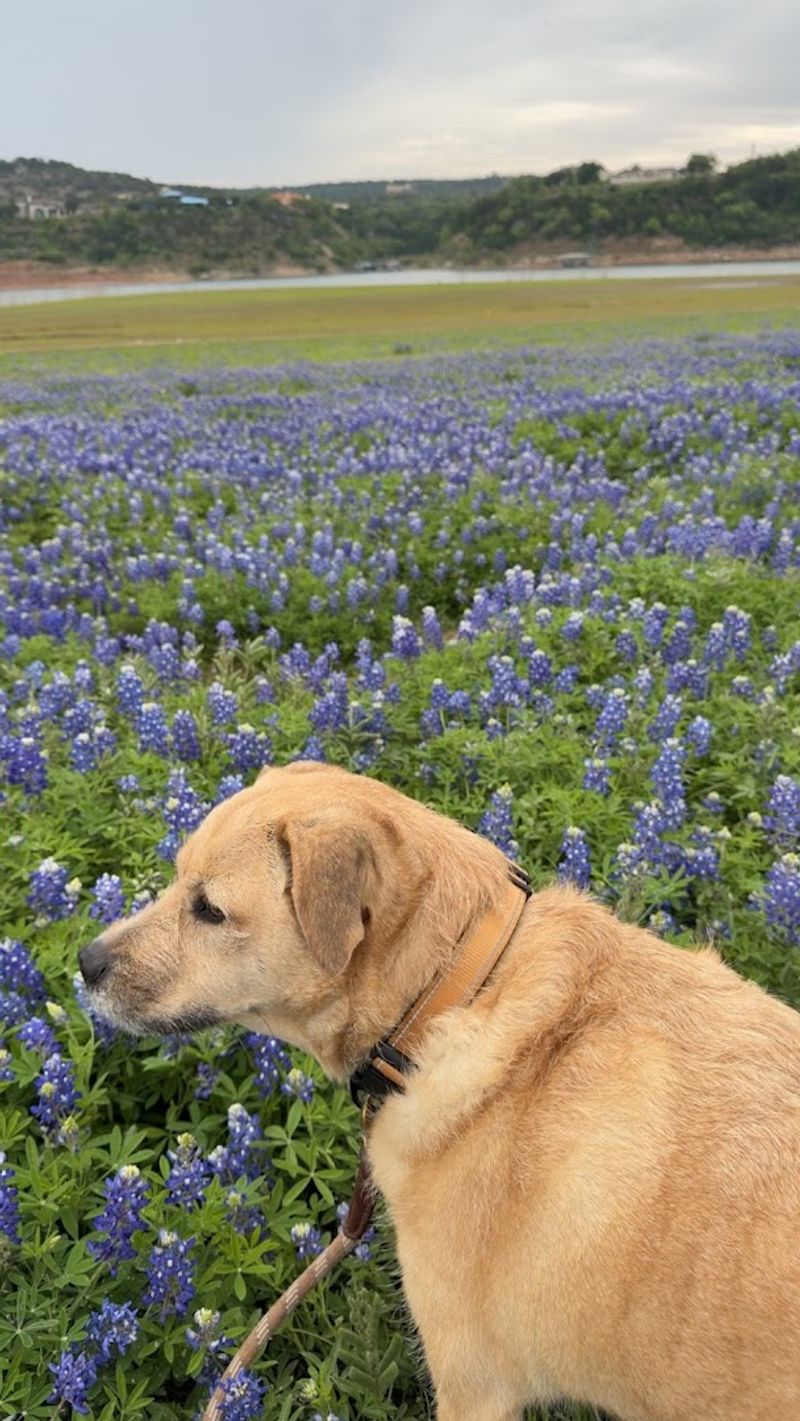 Picnicking With One of the Prettiest Views Around