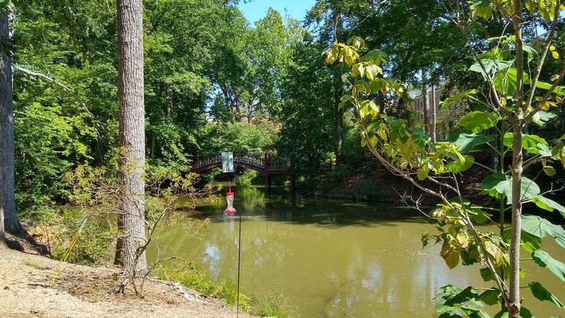 Benches, Stillness, and a Good Book