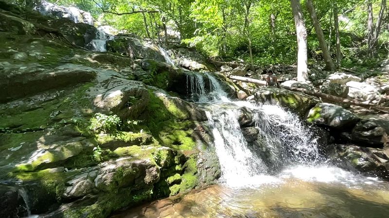 Family Fun: Why Kids Absolutely Love This Place