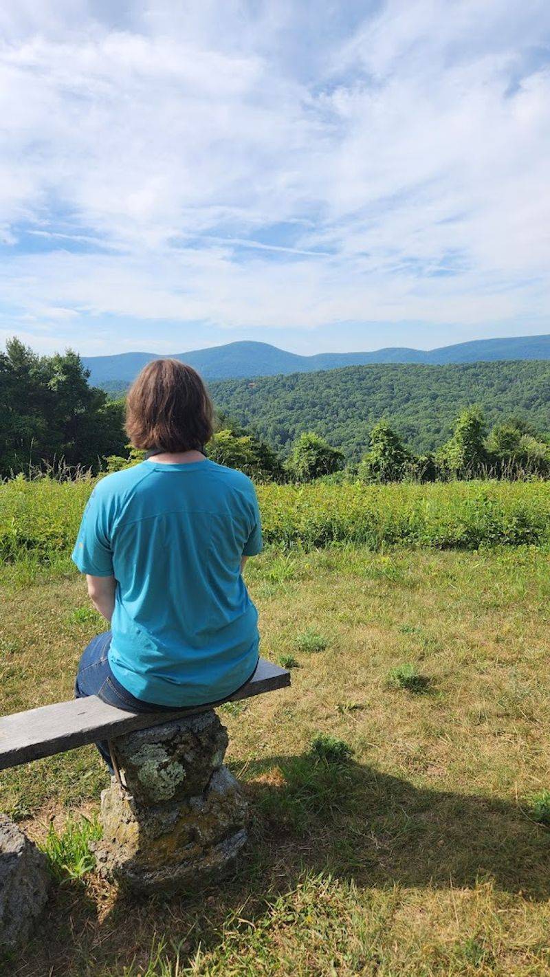 The Bench at the Top: A Seat With a Serious View