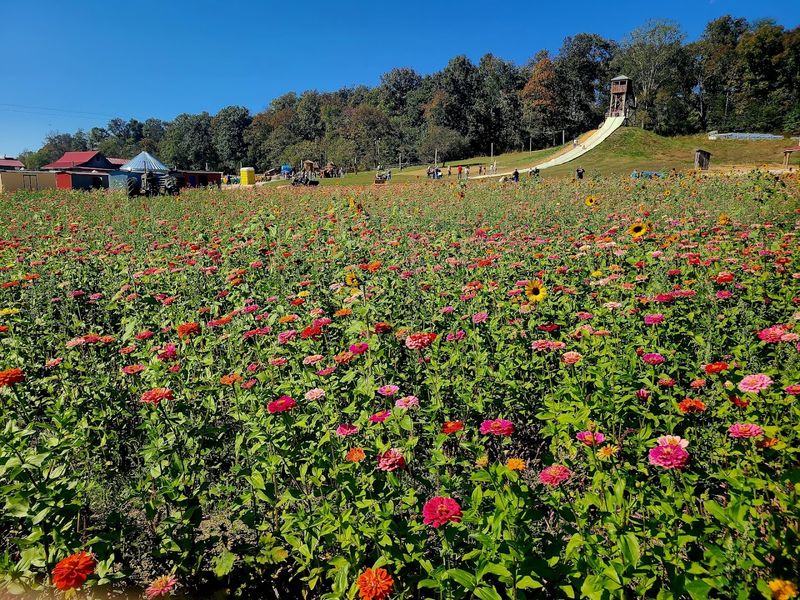 Unlimited Family-Friendly Rides Included With Admission