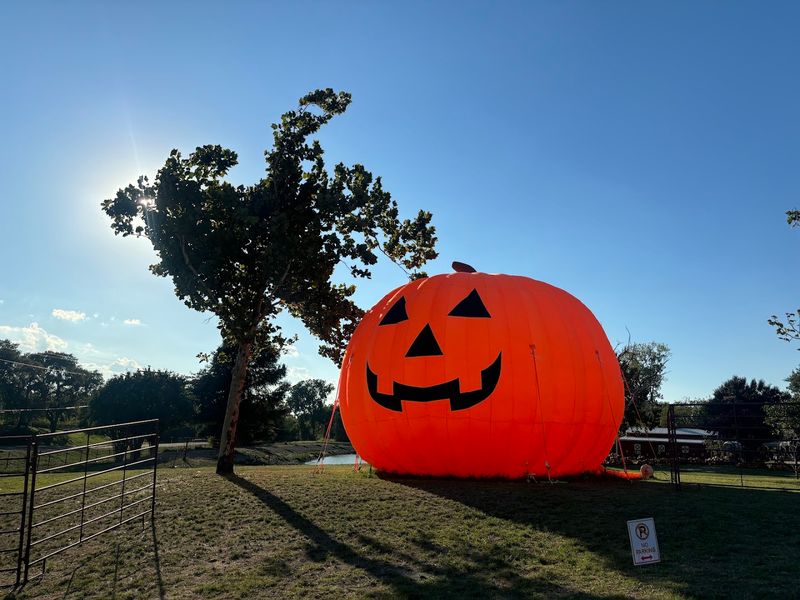 Seasonal Activities That Change Throughout the Year