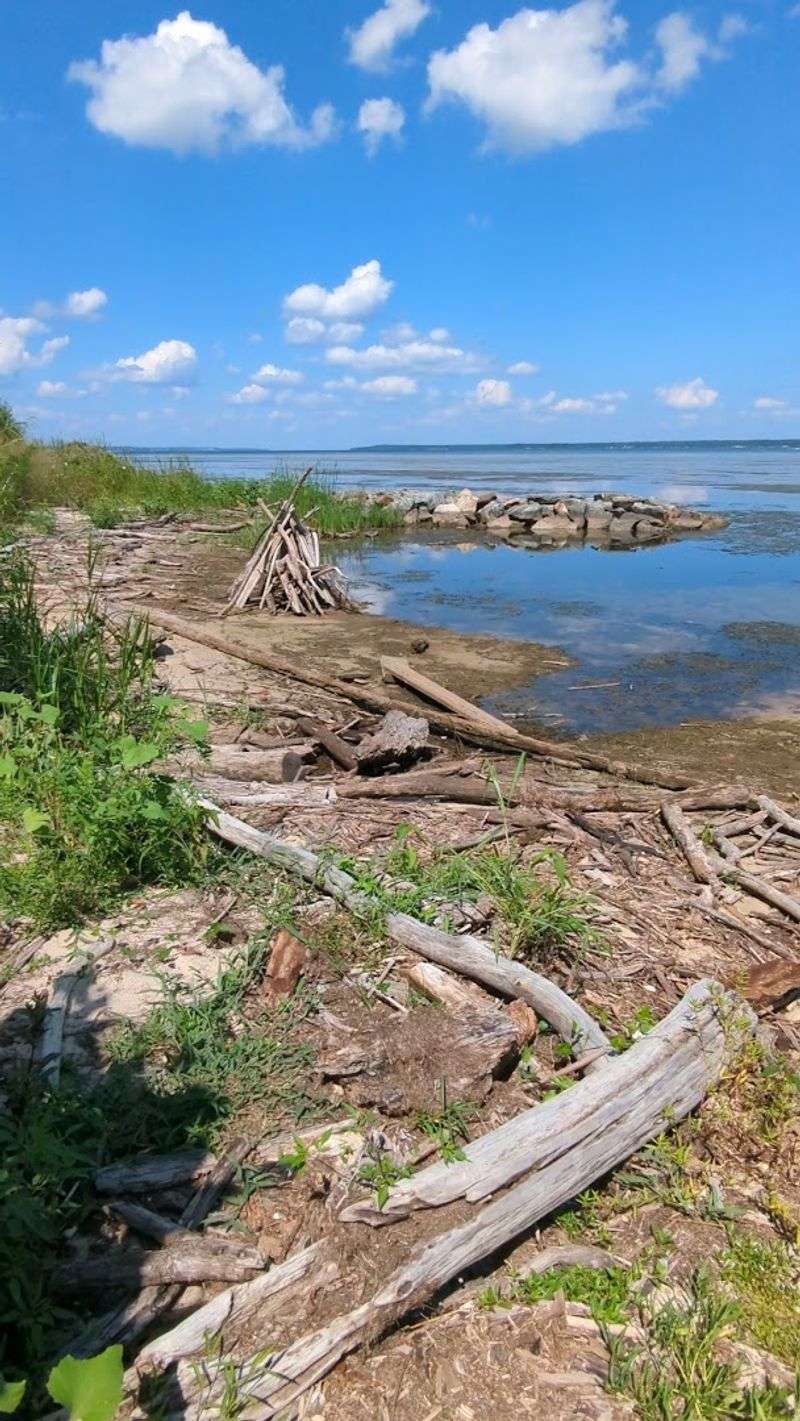 Wildlife Watching: Birds, Turtles, and the Wild Things In Between