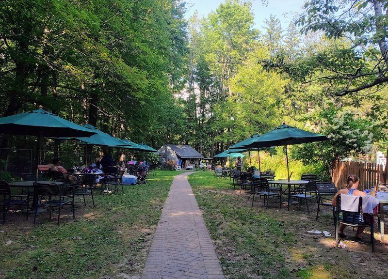 The Perennial Garden That Turns a Pool Visit Into Something More