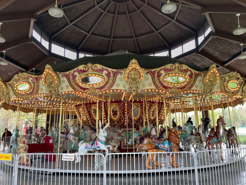 The Carousel and the Small Joys That Add Up Fast